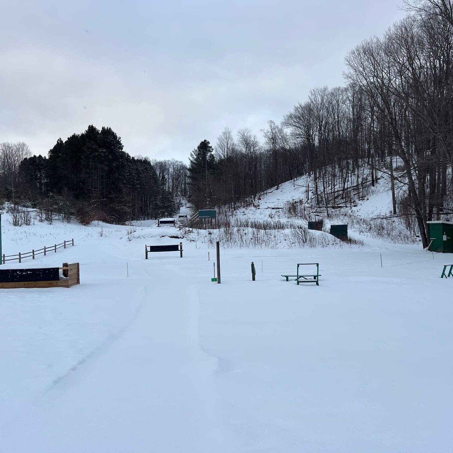 A snowy area with trees and snow on the ground.